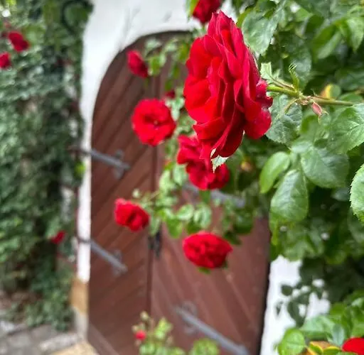 Lovely In A 18th Century Manor * Rattelsdorf