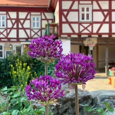 Appartement Lovely In A 18th Century Manor