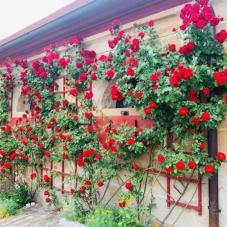 Lovely In A 18th Century Manor *