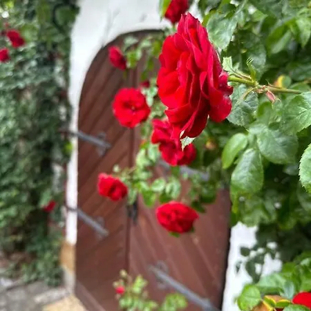Lovely In A 18th Century Manor * Rattelsdorf