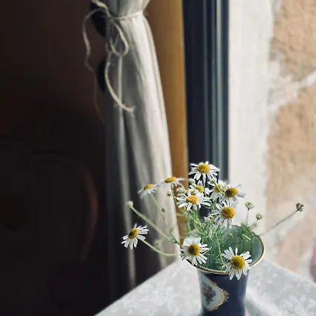 Lovely In A 18th Century Manor Apartment *