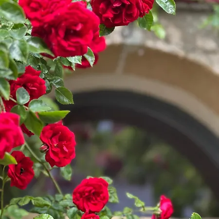 Lovely In A 18th Century Manor Apartment