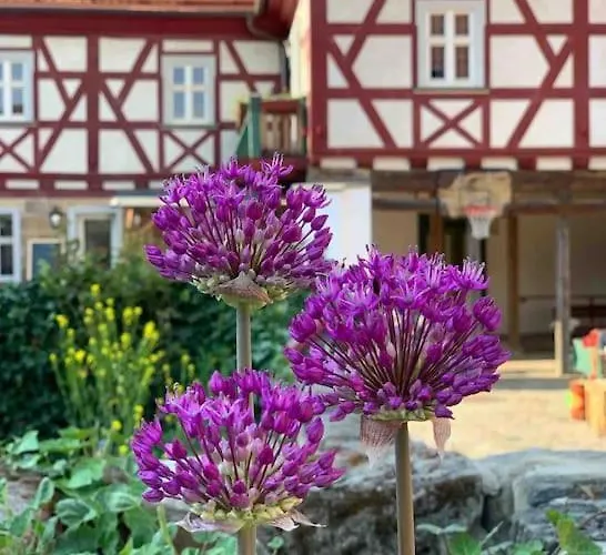 Appartement Lovely In A 18th Century Manor
